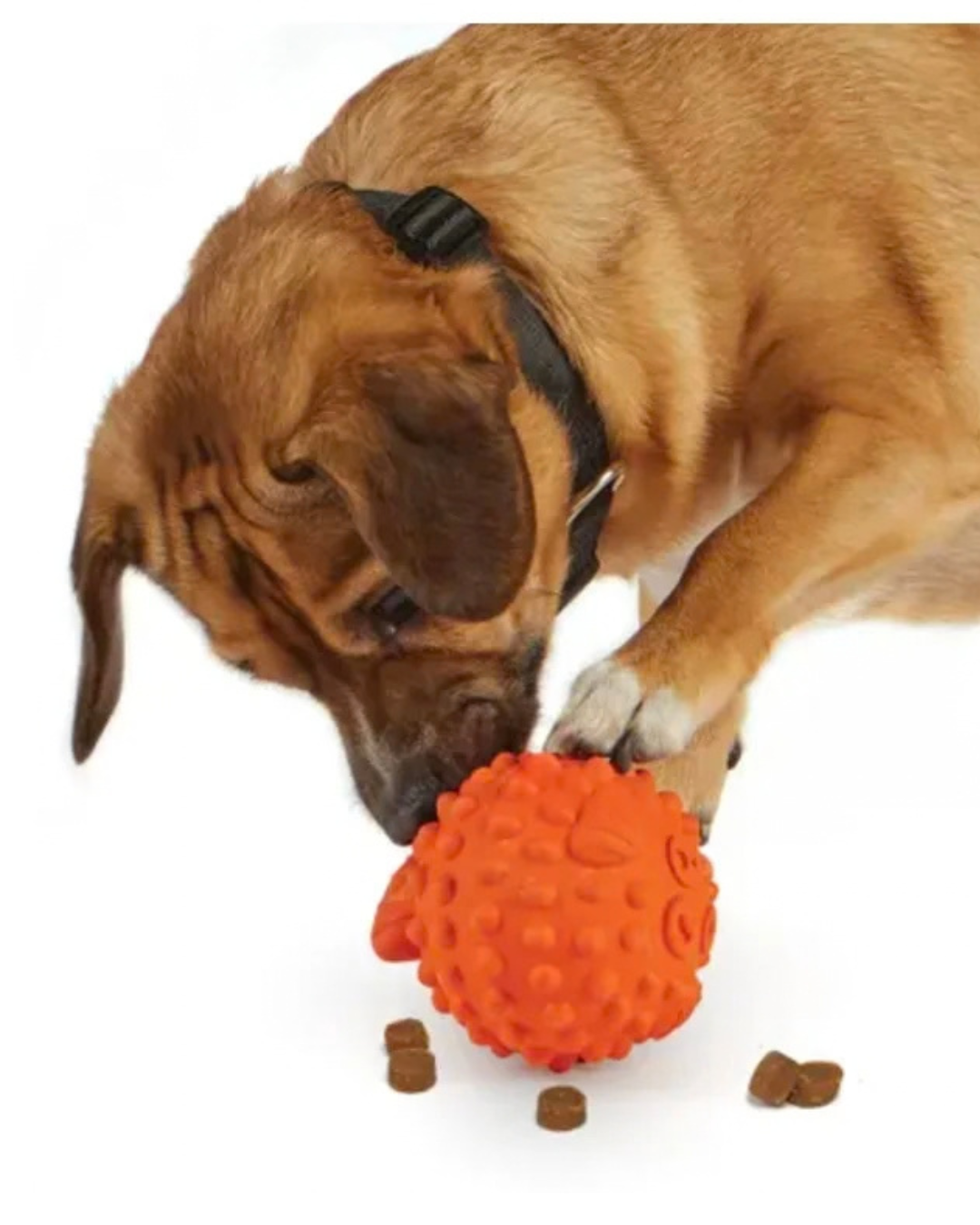 Brightkins – Tough & Tumble Treat Dispenser Small Pufferfish 1